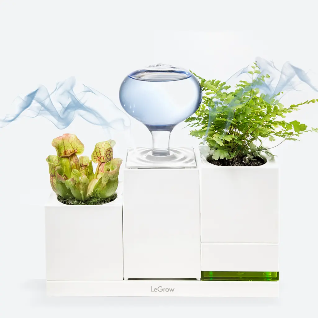 legrow humidifer increase humidity & purify the air